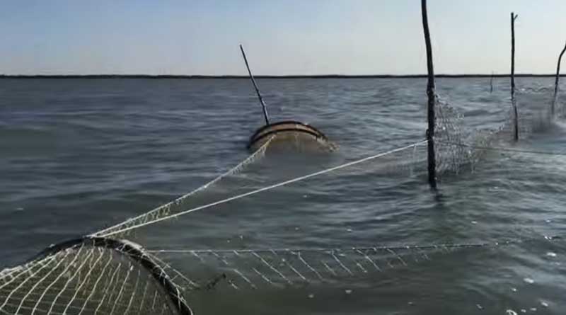 Illegal sturgeon fishing net. The Caspian, Kazakhstan.