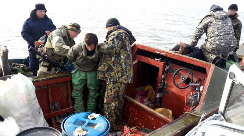 Астраханские пограничники поймали браконьеров с тюленьими шкурами