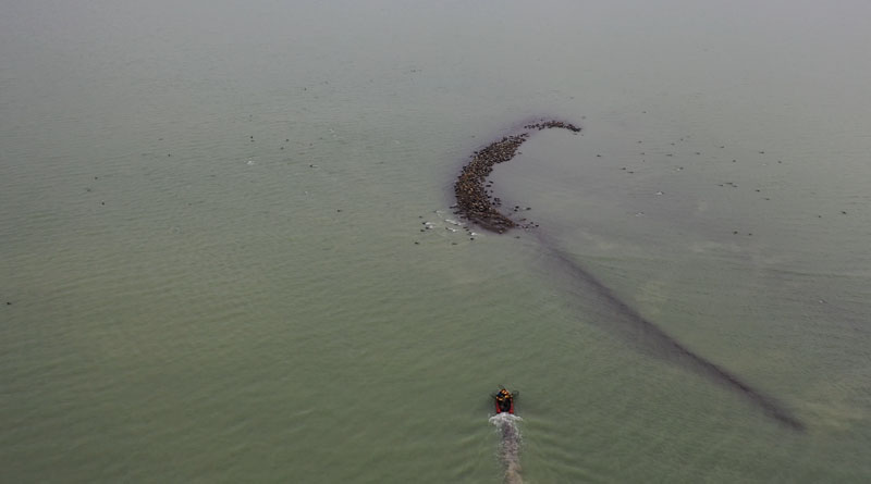 The Caspian seals haul-out site on a sandbank in the area of the North Caspian Sea Canal. Photo by Mulyaev A.N.