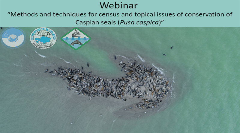 II International Webinar ‘Methods and methodologies for census and topical issues of preservation of the Caspian seal population (Pusa caspica).
