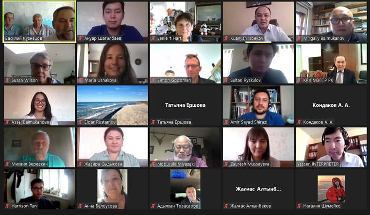 Participants in II International Webinar ‘Methods and methodologies for census and topical issues of preservation of the Caspian seal population (Pusa caspica).
