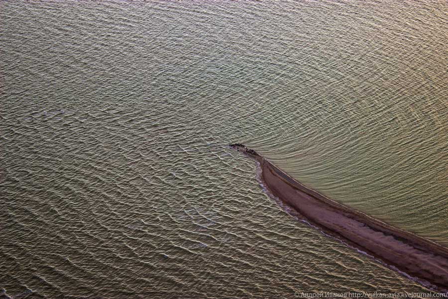 Залёжка каспийских тюленей на острове Малый Жемчужный. Фотография А.Д. Иванова.