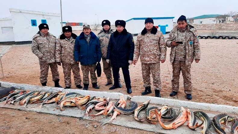 Inspectors and border guards with an illegal catch. The photo by the Administration of Fish Inspection for the Mangystau Region, Kazakhstan.