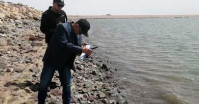 Dozens of Dead Seals in Kazakhstan
