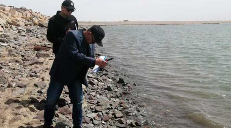 The monitoring of dead Caspian seals, Mangistau Region, Kazakhstan, April 2022.