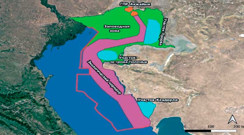 Карта-схема рекомендуемой особо охраняемой природной территории для сохранения популяции каспийского тюленя в казахстанской части Каспийского моря, автор М.Т. Баймуканов.