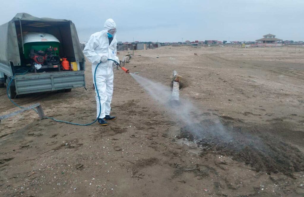 Disinfecting the ground. Monitoring of the Azerbaijani coast, the Caspian Sea, December 8-9, 2020. Photo provided by E.V. Mamedov.