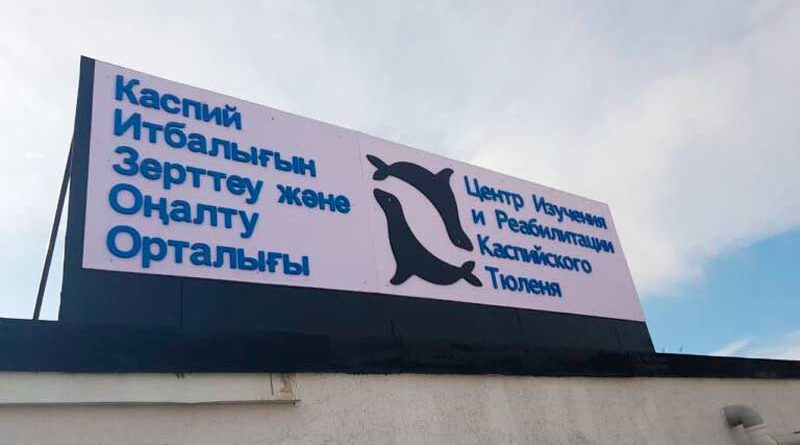 Центр изучения и реабилитации каспийских тюленей, Актау, Казахстан, ноябрь 2023 г