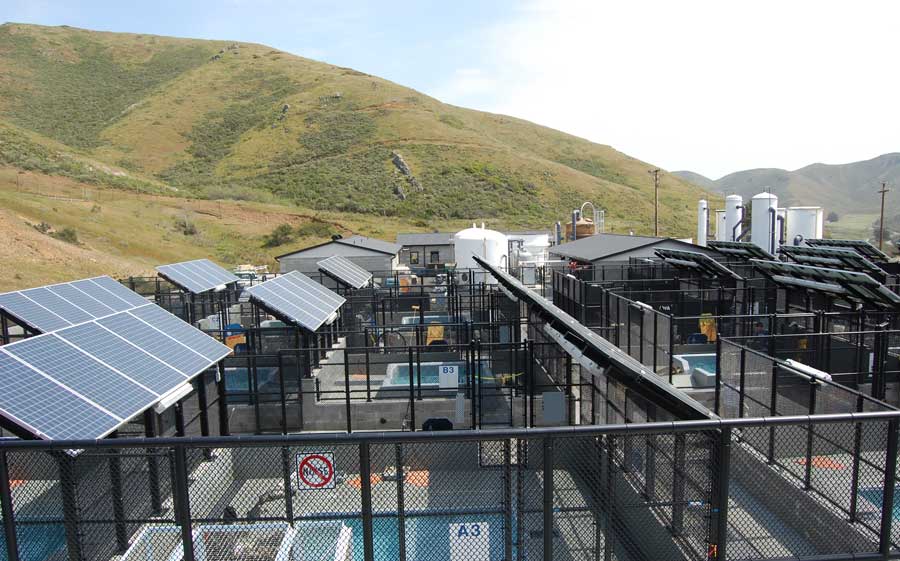 The Marine Mammal Center, Sausalito, USA. Photo from the center’s web-site.